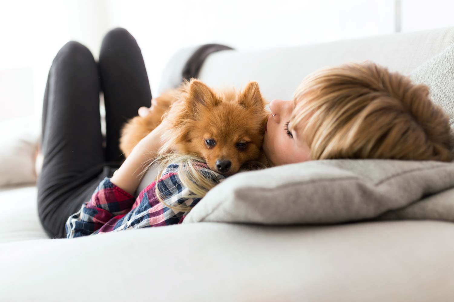 Bild vom Hundefotograf: Frau liegt mit Hund auf Sofa