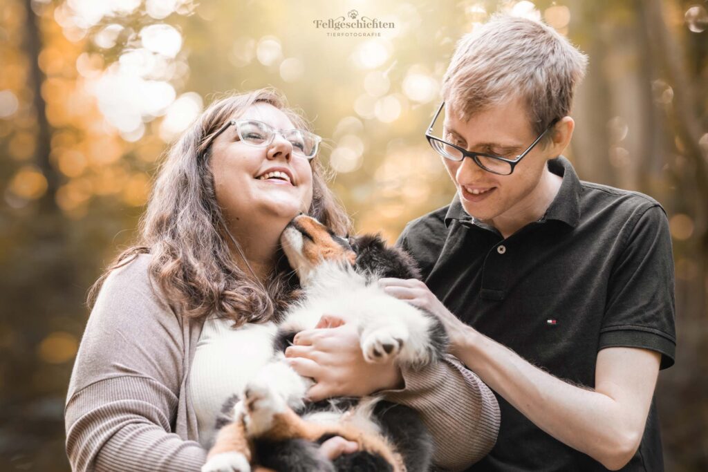 Hundefotografie Australian Shepherd Welpe schleckt Frau und Mann ab