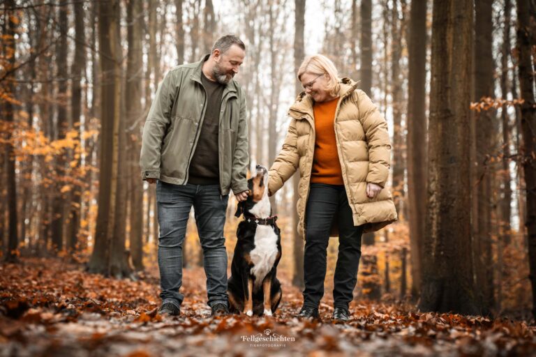 Großer Schweizer Sennenhund mit seinen Besitzern im Herbstwald