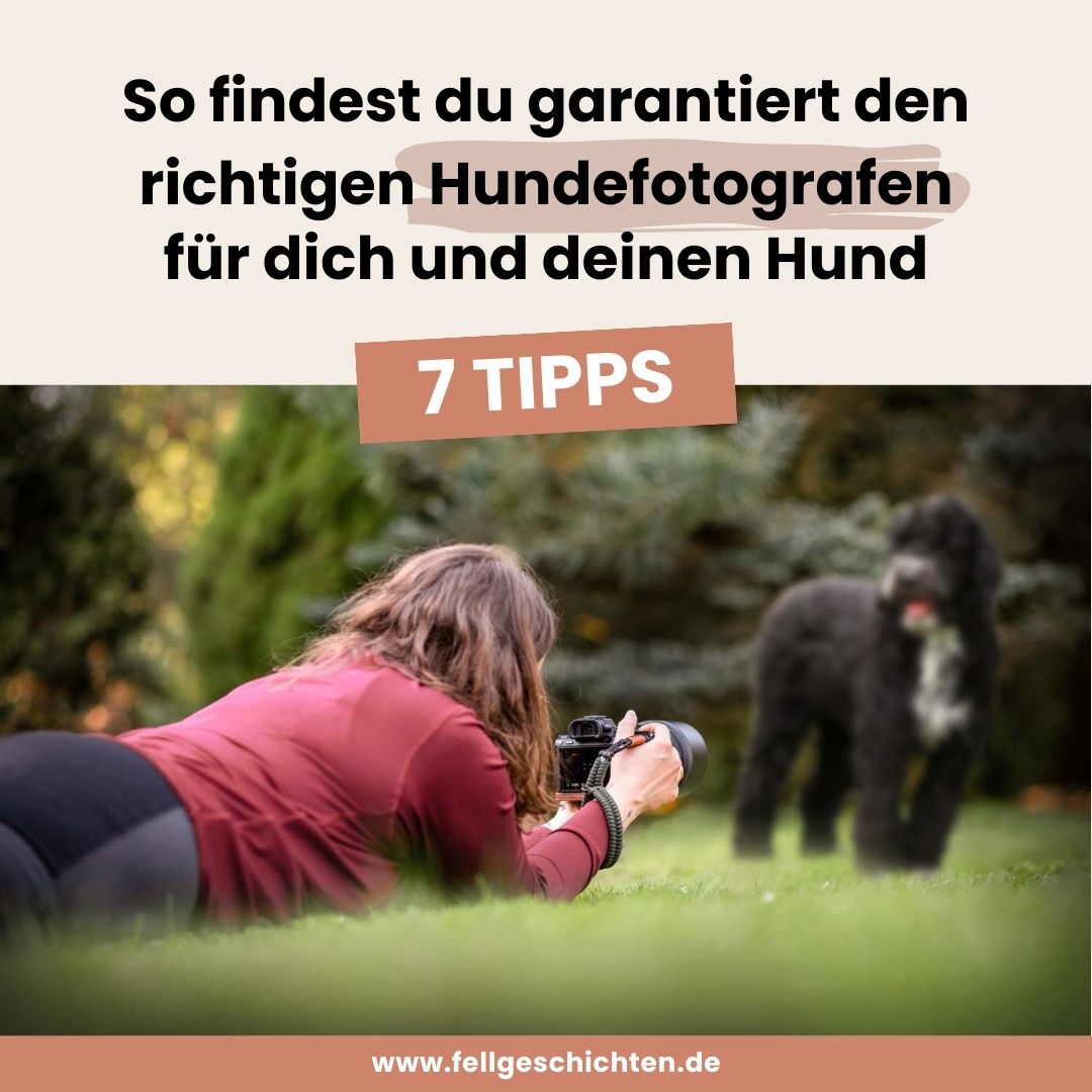 Blogbeitrag: So findest du garantiert den richtigen Hundefotograf für dich und deinen Hund