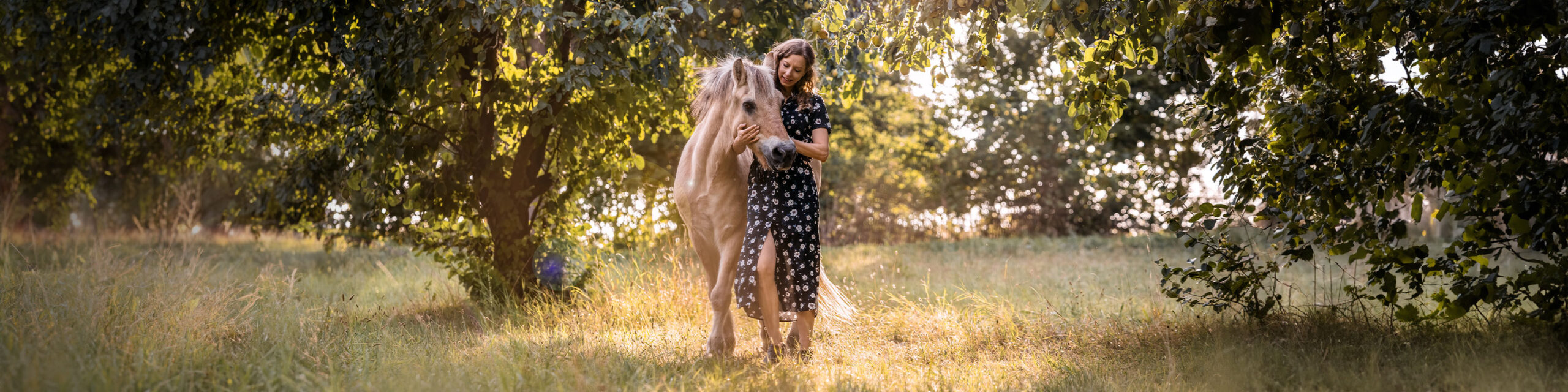 Frau und Pferd laufen über eine Sommerwiese zwischen Bäumen