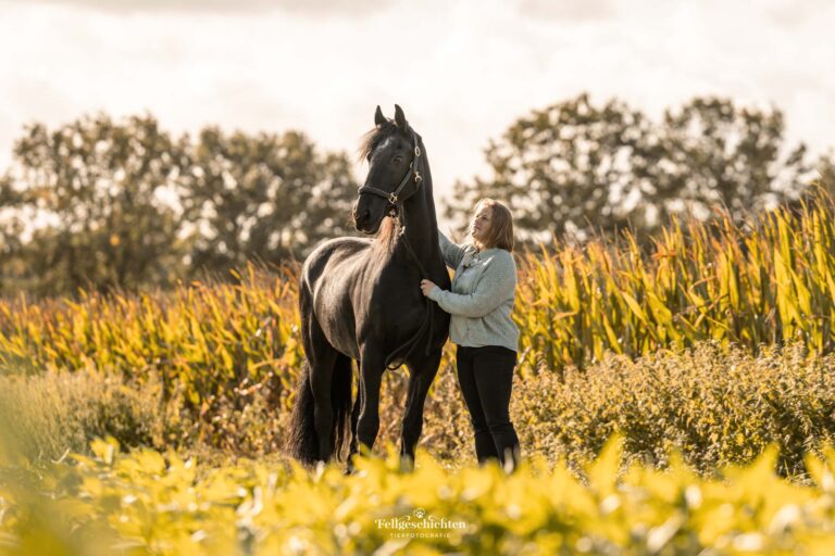 Frau steht mit Friesen Pferd vor einem Maisfeld