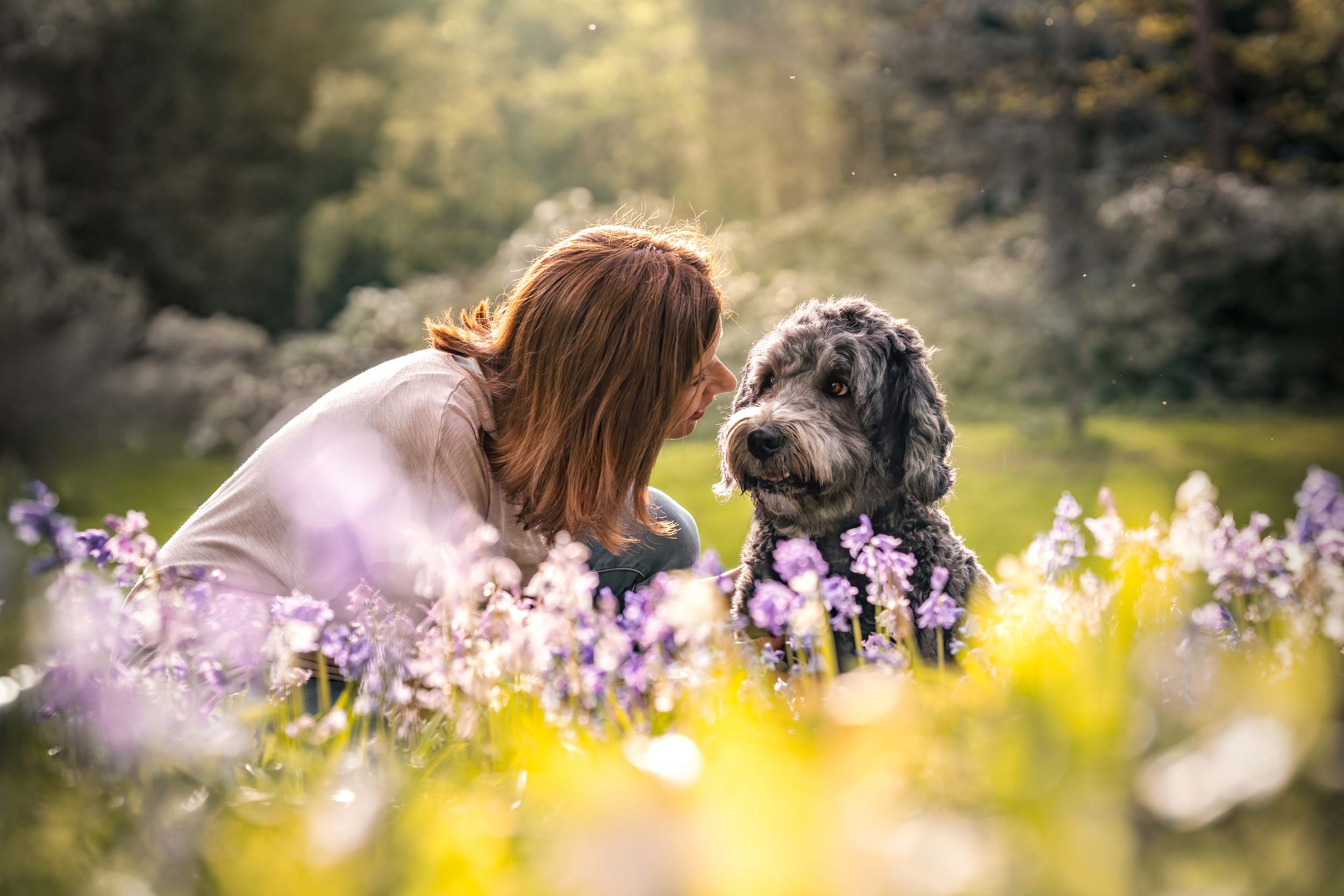 Hund und Frau schauen sich auf einer Blumenwiese in die Augen