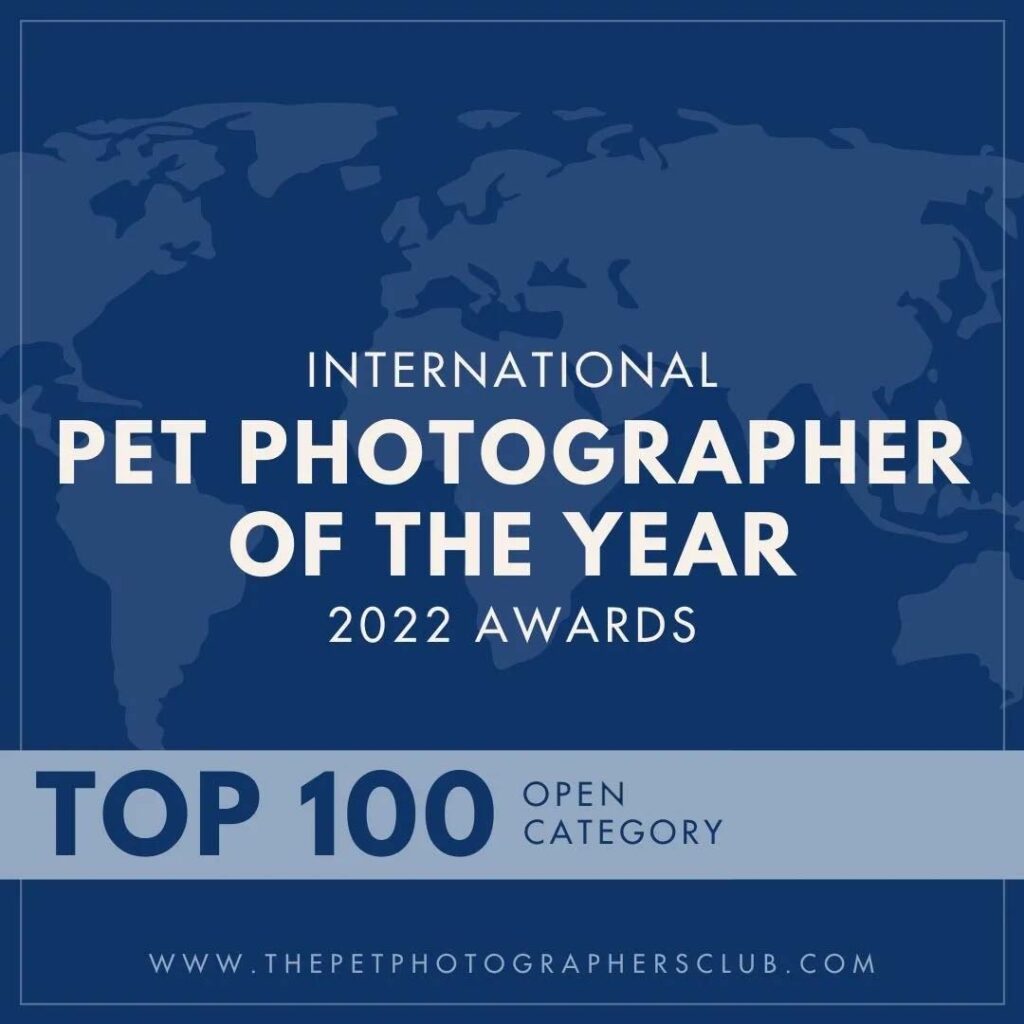 Pet Photographer of the year 2022 Awards Top 100 Open Category