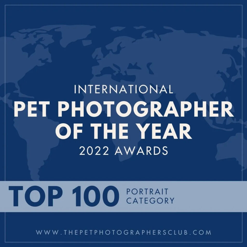Pet Photographer of the year 2022 Awards Top 100 Portrait Category