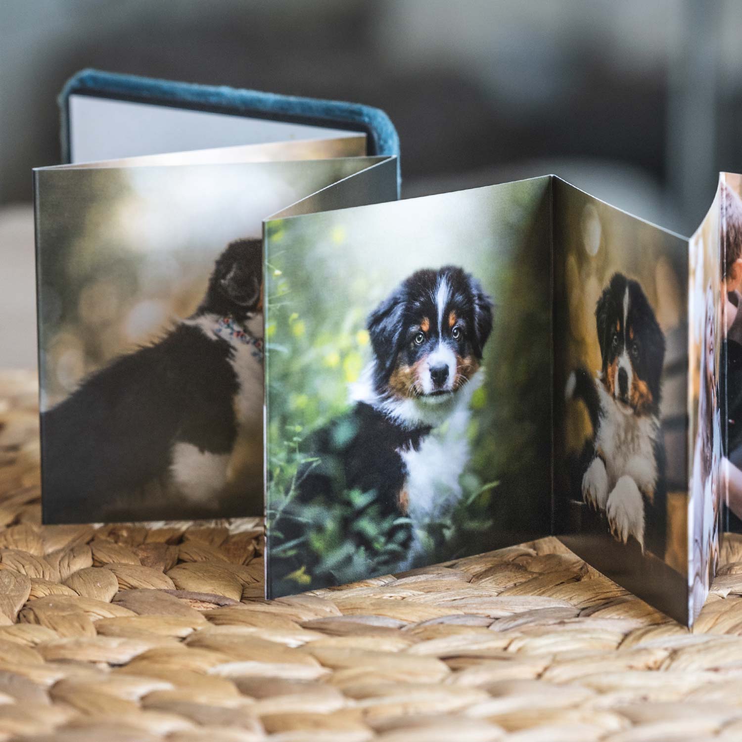 Aufgeklapptes Mini Leporello Album
