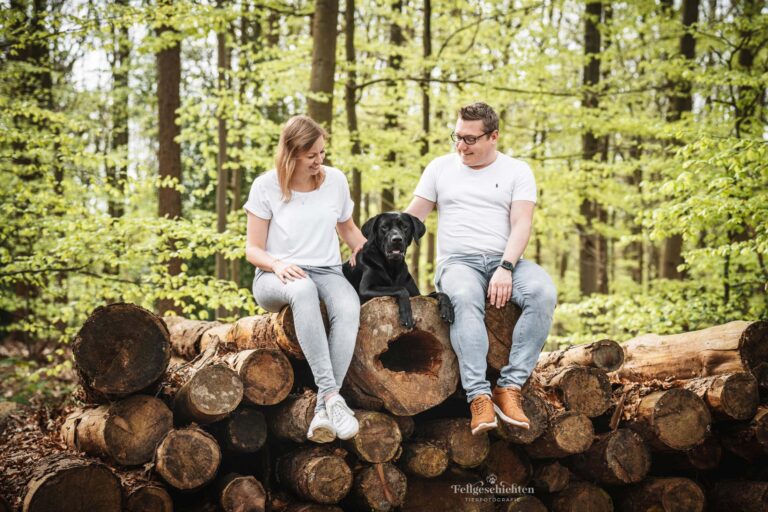 Mann und Frau sitzen mit einem Labrador auf einem Stapel Baumstämmen