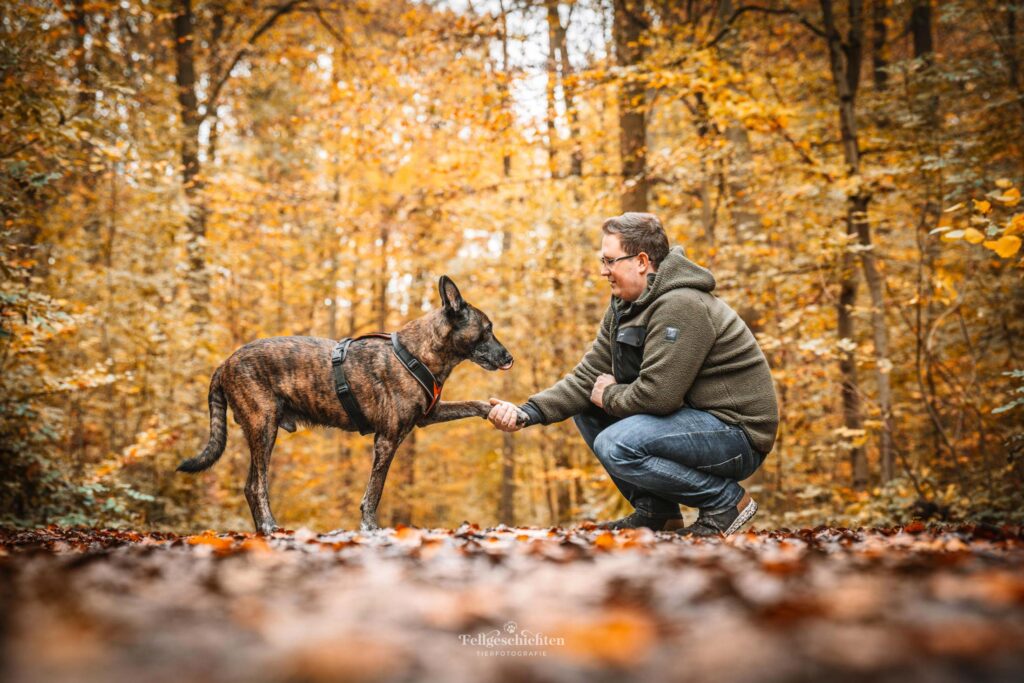 Ein Hund gibt seinem Herrchen Pfötchen
