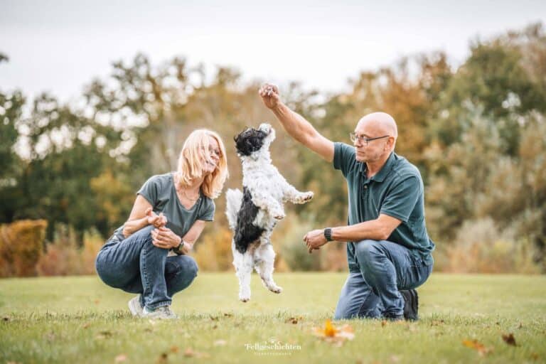 Ehepaar spielt mit einem Hund